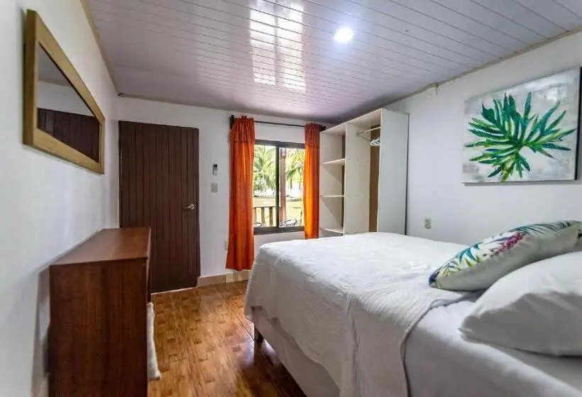 庭の見えるシングルルーム, Tortuguero Beachfront
