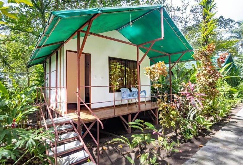 بنجلو قياسى مطلّ علي الحديقة, Tortuguero Beachfront