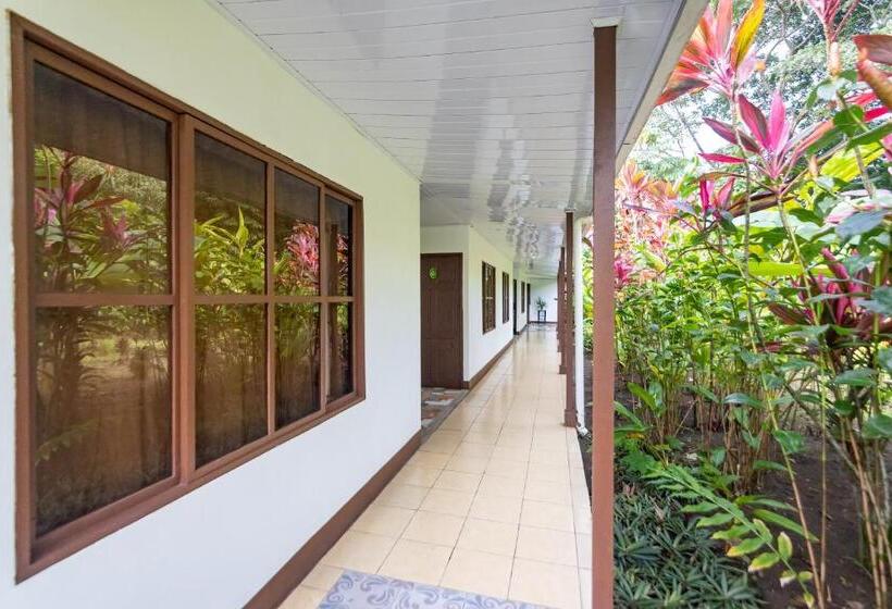 غرفة قياسية رباعية مطلة على الحديقة, Tortuguero Beachfront