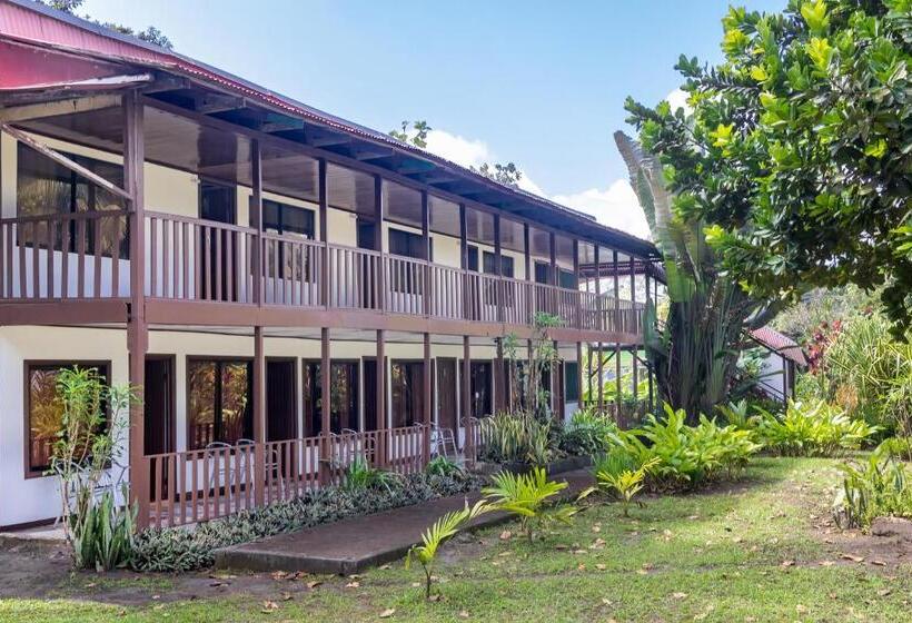 غرفة قياسية رباعية مطلة على الحديقة, Tortuguero Beachfront