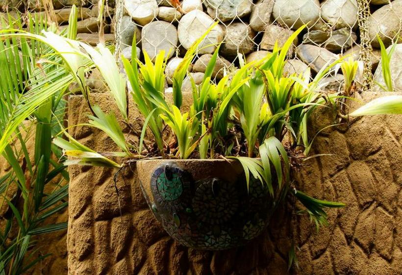 غرفة ديلوكس, Waterfall Villas