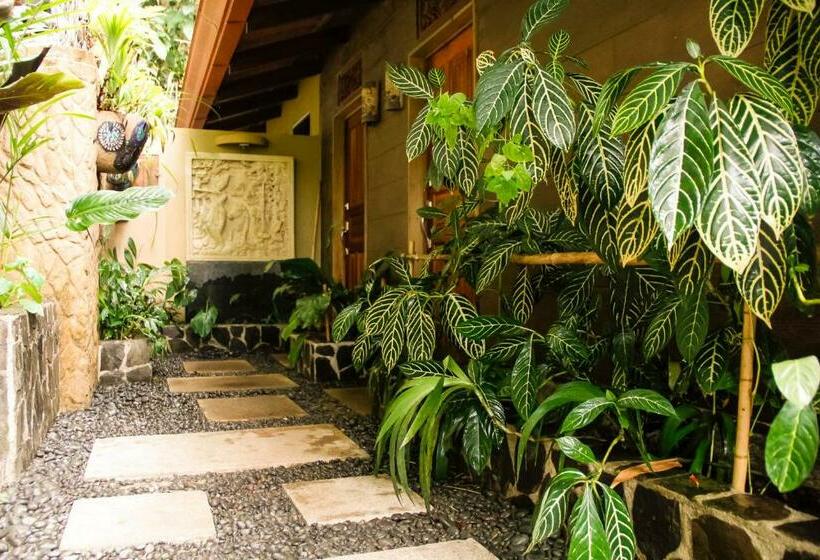 غرفة ديلوكس, Waterfall Villas