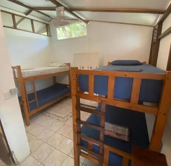 ルームシェアのワンベッド, Pura Vida Mini Hostel Santa Teresa