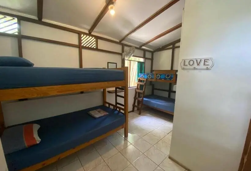 ルームシェアのワンベッド, Pura Vida Mini Hostel Santa Teresa