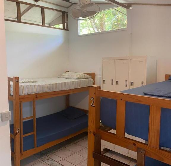 공동 객실, Pura Vida Mini Hostel Santa Teresa