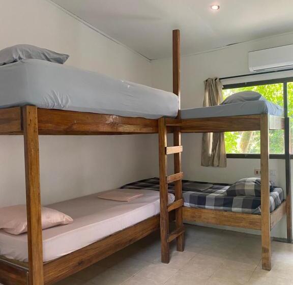 4인용 스탠다드 룸, Pura Vida Mini Hostel Santa Teresa