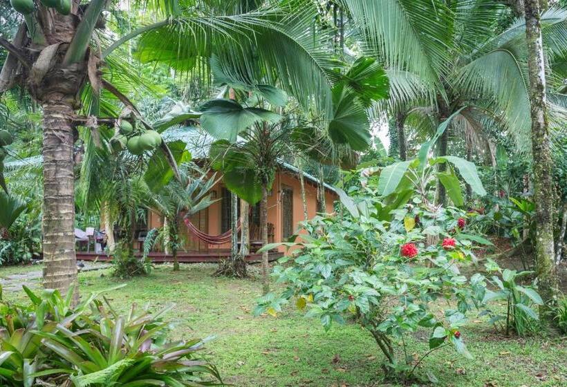 בונגלו סטנדרט עם נוף לגינה, El Nido Jungle Lodge