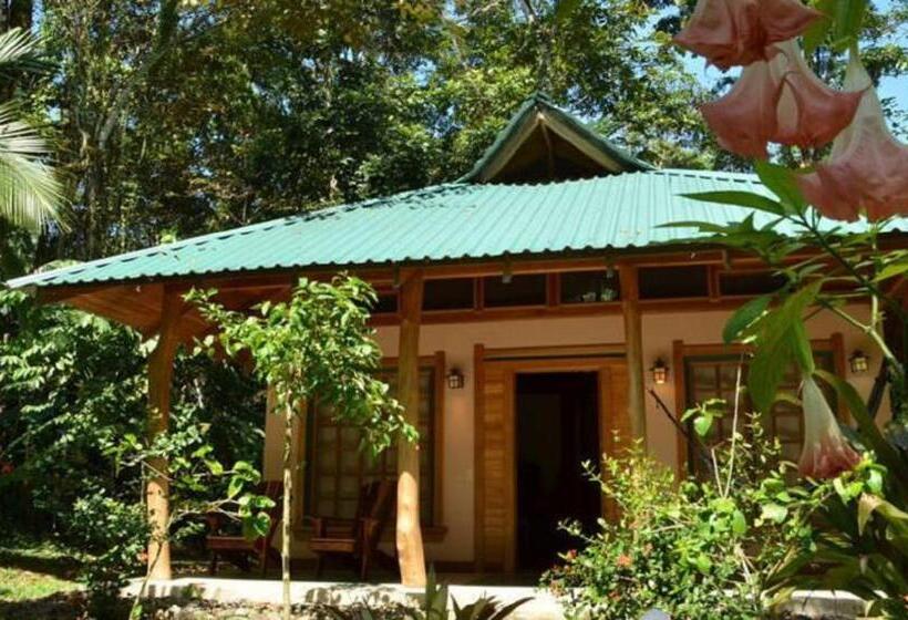 בונגלו סטנדרט עם נוף לגינה, El Nido Jungle Lodge