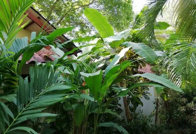 Standard-bungalow, Funky Monkey Lodge
