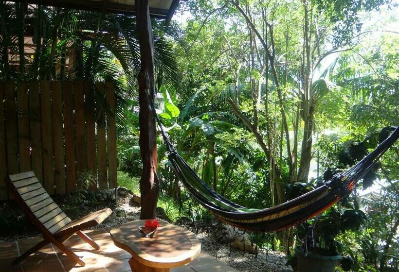 بانگلوی استاندارد, Funky Monkey Lodge