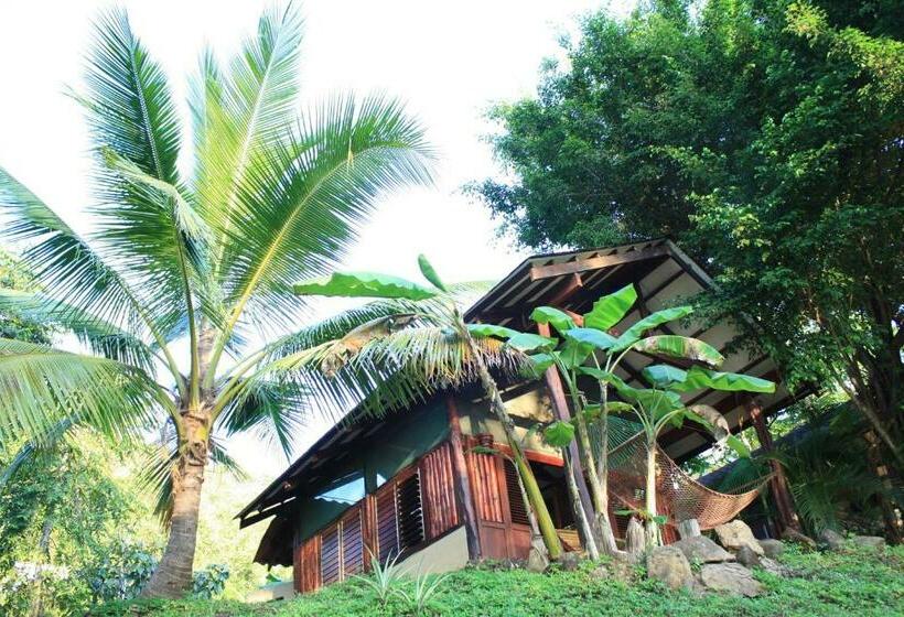 بانگلوی استاندارد, Funky Monkey Lodge