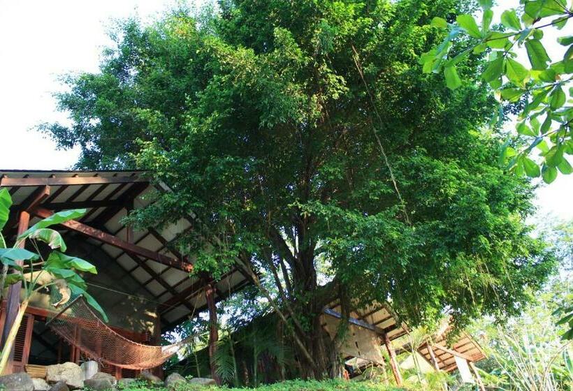 بانگلوی استاندارد, Funky Monkey Lodge