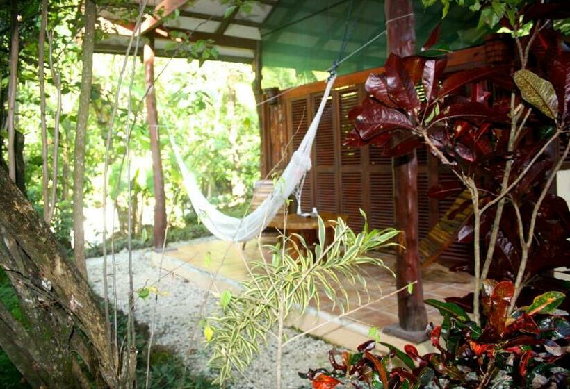 스탠다드 방갈로, Funky Monkey Lodge