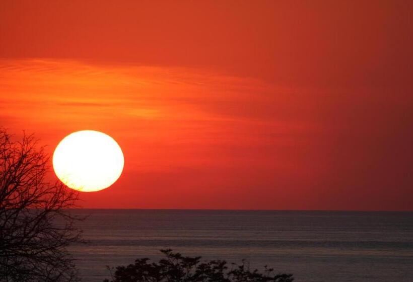 اتاق خانوادگی با چشمانداز دریا, Funky Monkey Lodge