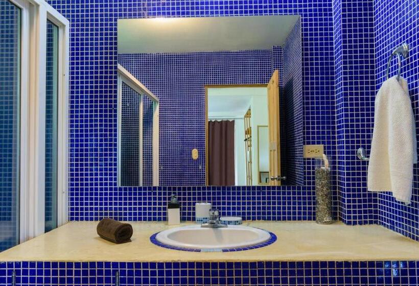 اتاق خانوادگی با چشمانداز دریا, Funky Monkey Lodge