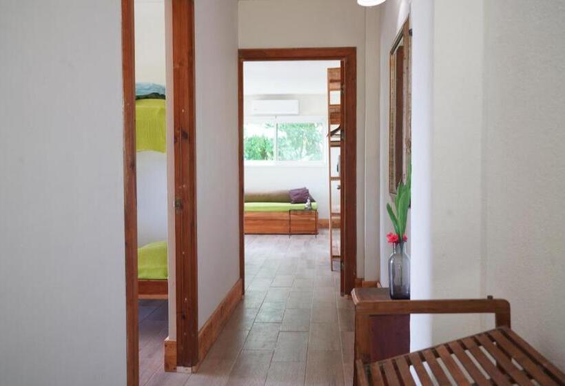 اتاق خانوادگی با چشمانداز دریا, Funky Monkey Lodge