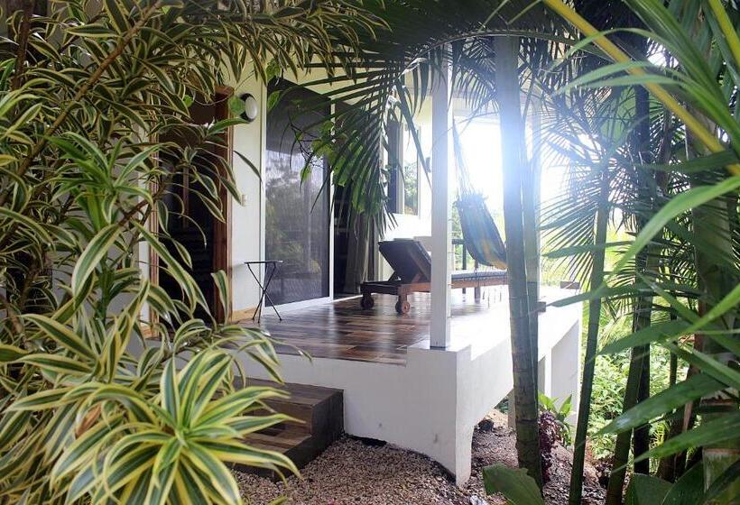 آپارتمان راحتی 1 خوابه, Funky Monkey Lodge