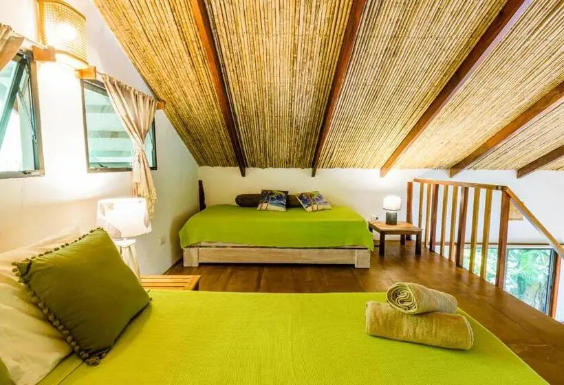 Standard-bungalow Puutarhanäkymä, Funky Monkey Lodge