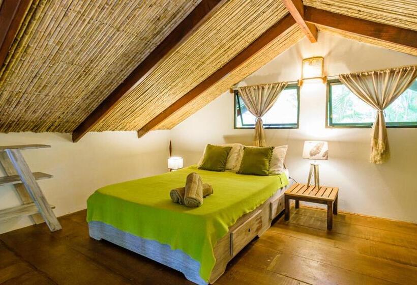 ویلای استاندارد با چشمانداز باغ, Funky Monkey Lodge