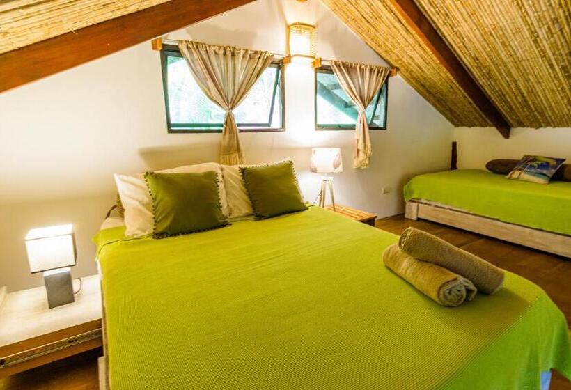 ویلای استاندارد با چشمانداز باغ, Funky Monkey Lodge