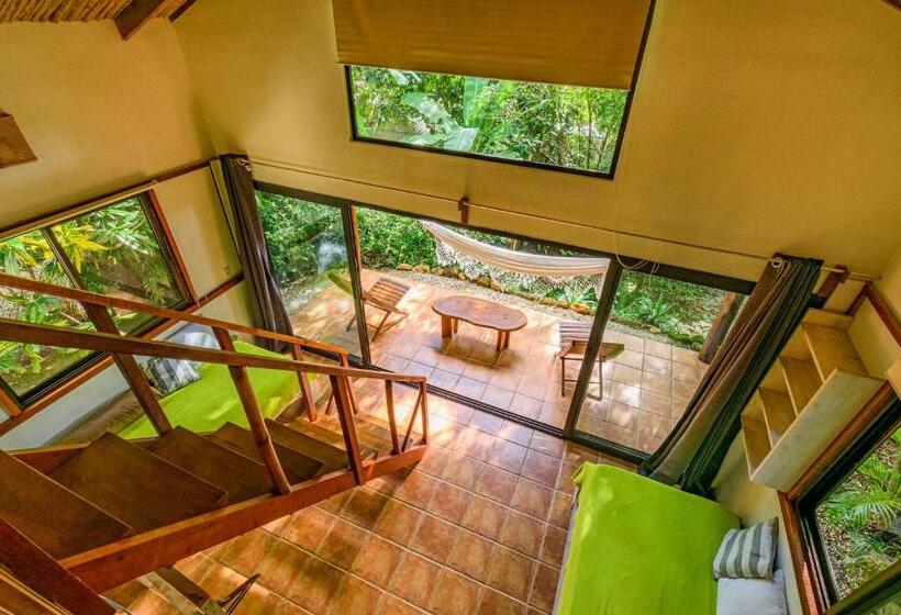 ویلای استاندارد با چشمانداز باغ, Funky Monkey Lodge