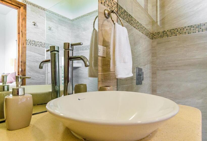 آپارتمان 1 خوابه با چشمانداز دریا, Funky Monkey Lodge