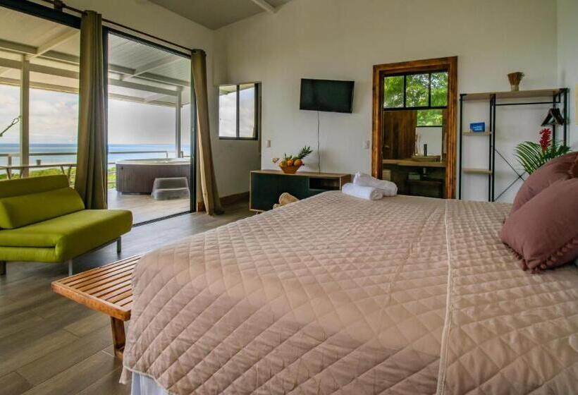 آپارتمان 1 خوابه با چشمانداز دریا, Funky Monkey Lodge