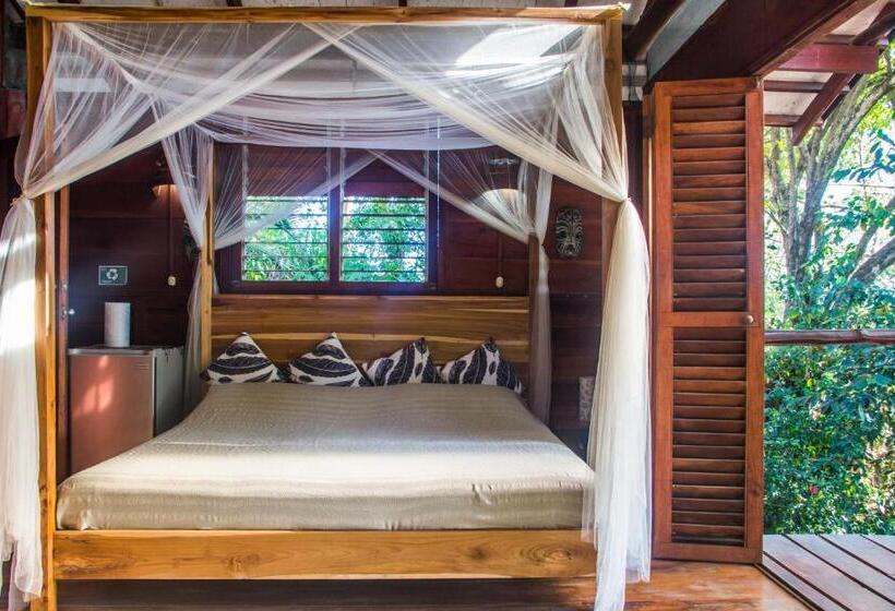 سوئیت با بالکن, Funky Monkey Lodge