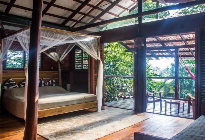 سوئیت با بالکن, Funky Monkey Lodge