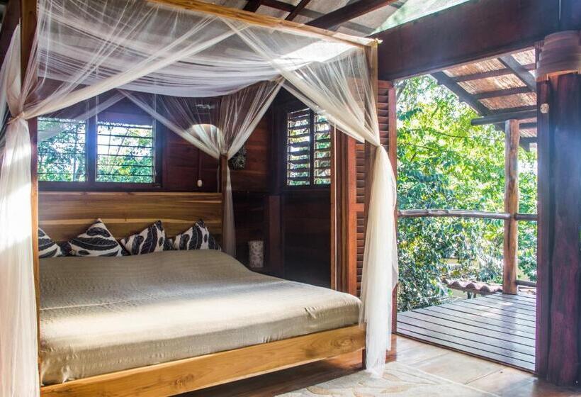 سوئیت با بالکن, Funky Monkey Lodge