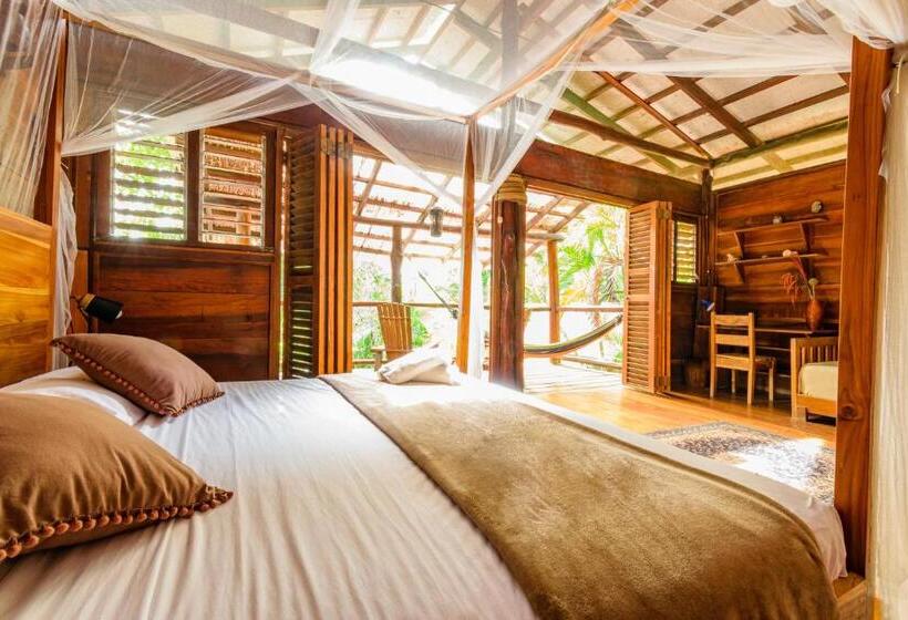 سوئیت با بالکن, Funky Monkey Lodge