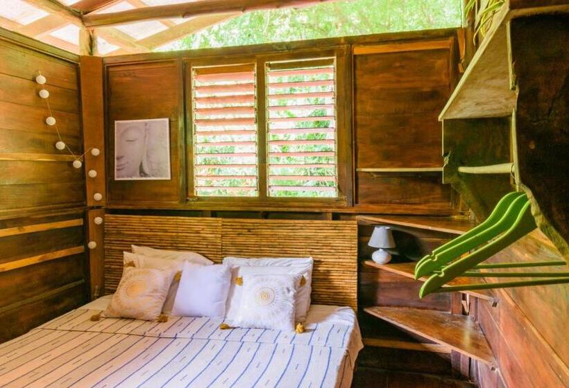 이코노미 룸, Funky Monkey Lodge