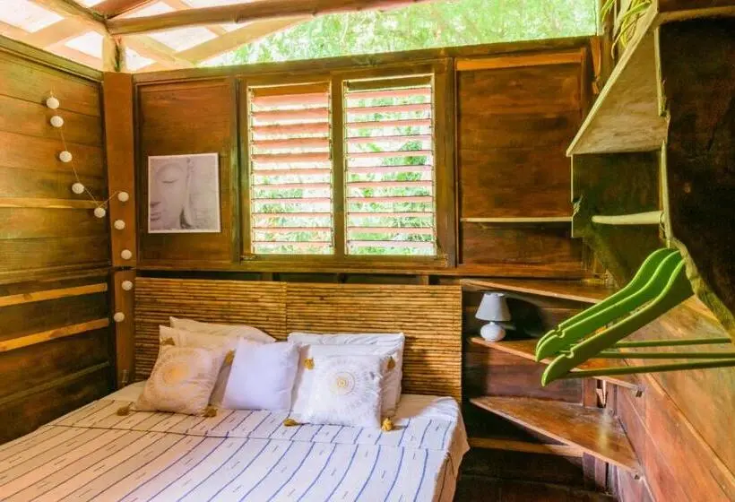 Economy-huone, Funky Monkey Lodge