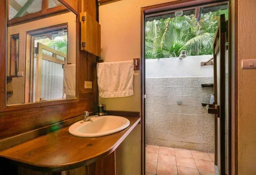 Economy-huone, Funky Monkey Lodge
