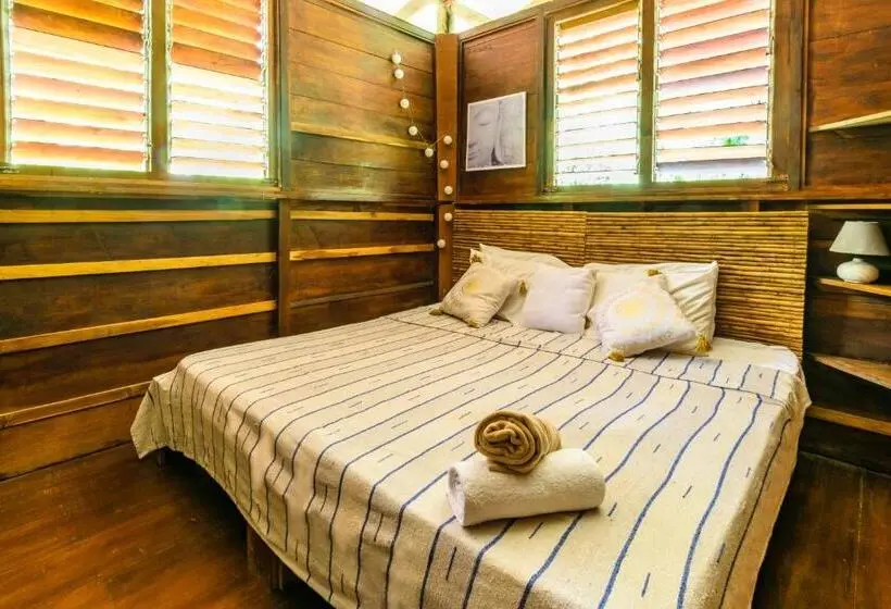 Economy-huone, Funky Monkey Lodge