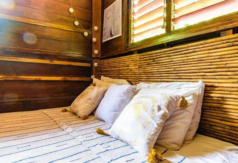 Economy-huone, Funky Monkey Lodge