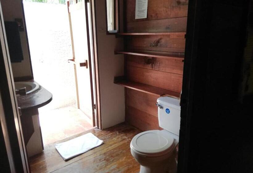 اتاق اکونومی, Funky Monkey Lodge