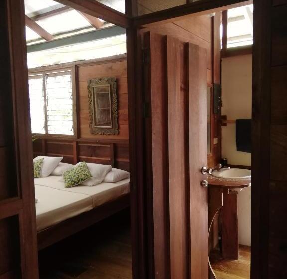 اتاق اکونومی, Funky Monkey Lodge