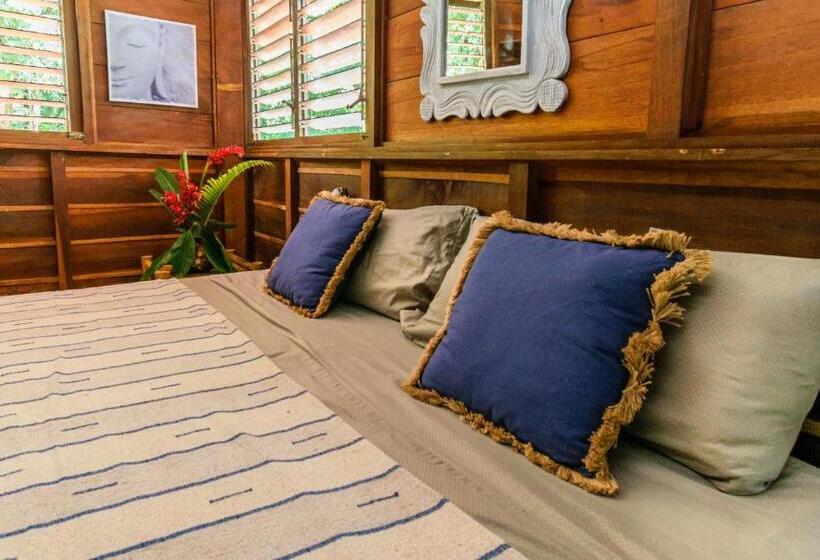 اتاق اکونومی, Funky Monkey Lodge