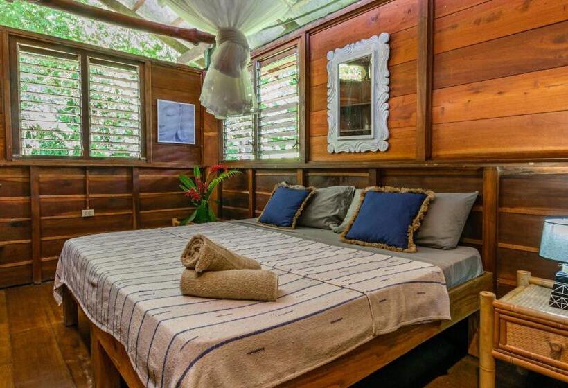 이코노미 룸, Funky Monkey Lodge