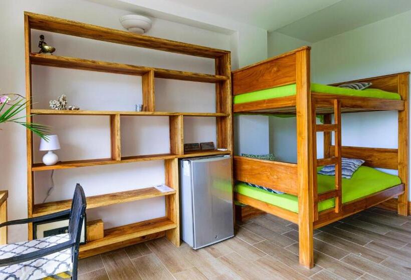 اتاق استاندارد با چشمانداز دریا, Funky Monkey Lodge