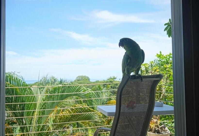 اتاق استاندارد با چشمانداز دریا, Funky Monkey Lodge