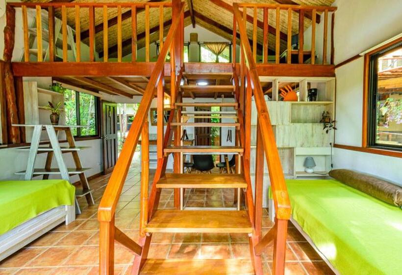 ویلای استاندارد با چشمانداز باغ, Funky Monkey Lodge