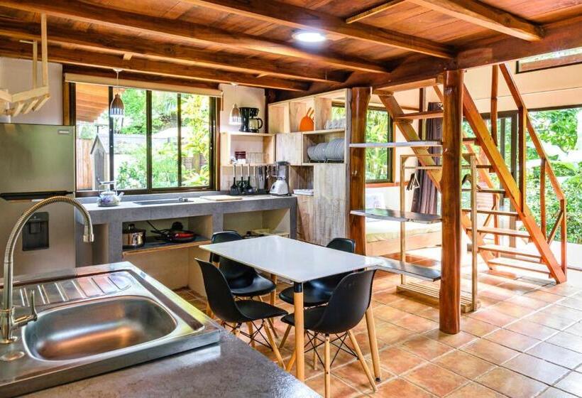 ویلای استاندارد با چشمانداز باغ, Funky Monkey Lodge