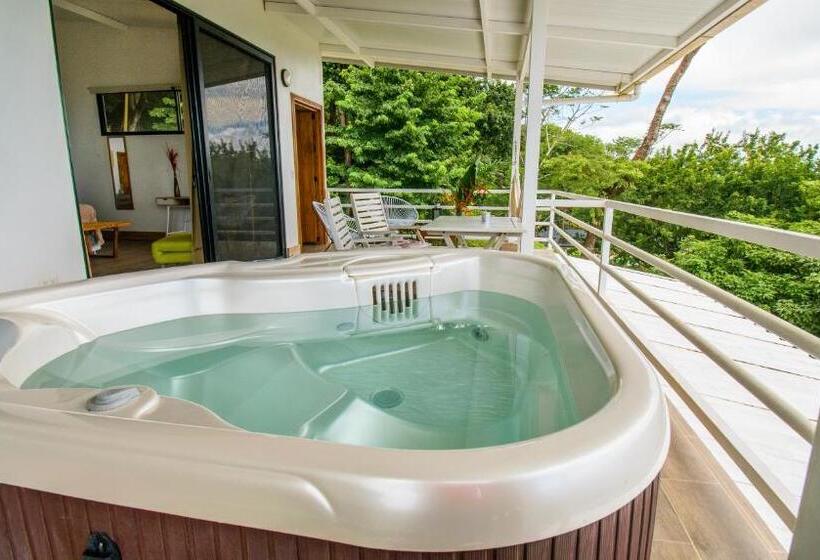 آپارتمان 1 خوابه با چشمانداز دریا, Funky Monkey Lodge