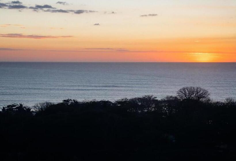 آپارتمان 1 خوابه با چشمانداز دریا, Funky Monkey Lodge