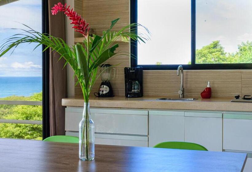 آپارتمان 1 خوابه با چشمانداز دریا, Funky Monkey Lodge