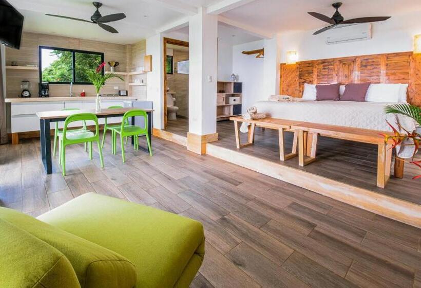 آپارتمان 1 خوابه با چشمانداز دریا, Funky Monkey Lodge