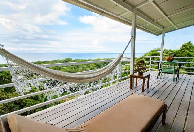 آپارتمان 1 خوابه با چشمانداز دریا, Funky Monkey Lodge