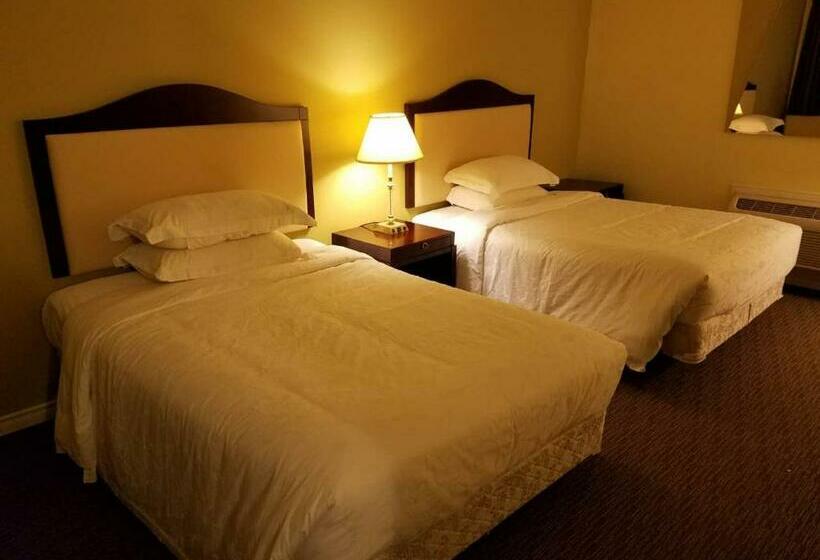 חדר משפחתי, 7 West Motel